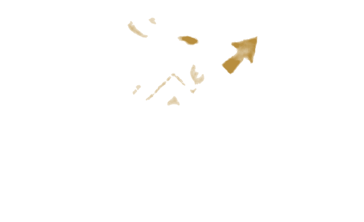Gaucho Consulting · Commercial Strategy